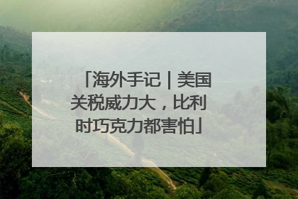 海外手记｜美国关税威力大，比利时巧克力都害怕